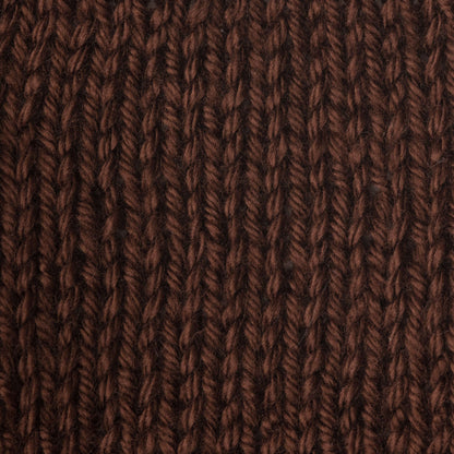 Caron Simply Soft Yarn Chocolate