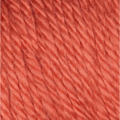 Caron Simply Soft Yarn Persimmon
