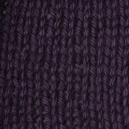 Caron Simply Soft Yarn Plum Perfect