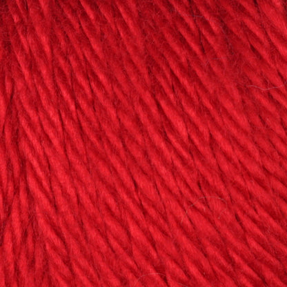 Caron Simply Soft Yarn Harvest Red