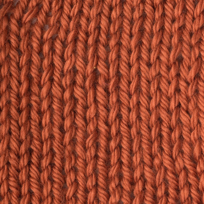 Caron Simply Soft Yarn Pumpkin