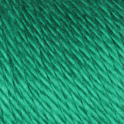 Caron Simply Soft Yarn Kelly Green