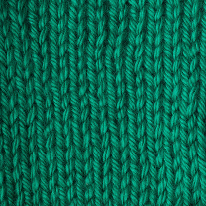 Caron Simply Soft Yarn Kelly Green