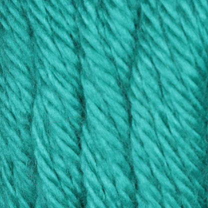 Caron Simply Soft Yarn Cool Green