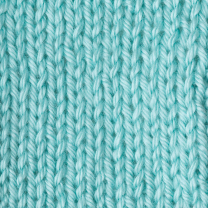 Caron Simply Soft Yarn Robin's Egg