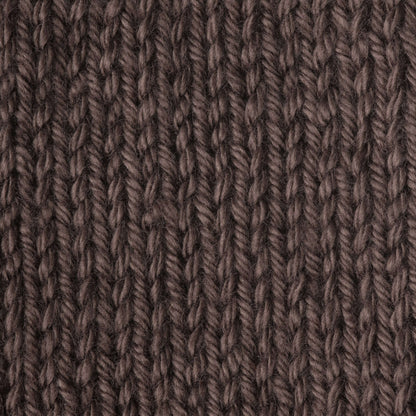 Caron Simply Soft Yarn Taupe