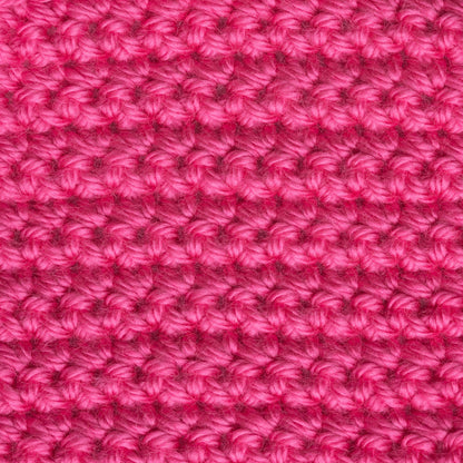 Caron Simply Soft Brites Yarn Watermelon