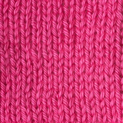 Caron Simply Soft Brites Yarn Watermelon