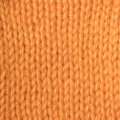Caron Simply Soft Brites Yarn Mango