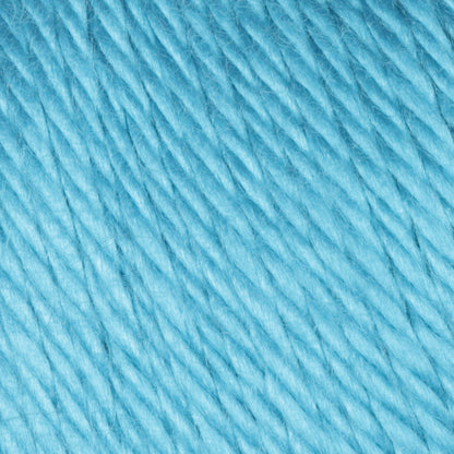 Caron Simply Soft Brites Yarn Blue Mint