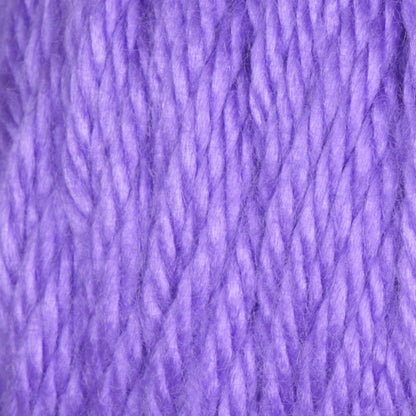 Caron Simply Soft Brites Yarn Grape
