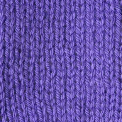 Caron Simply Soft Brites Yarn Grape