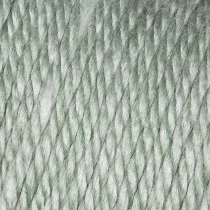Caron Simply Soft Heathers Yarn Woodland Heather