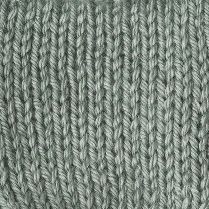 Caron Simply Soft Heathers Yarn Woodland Heather