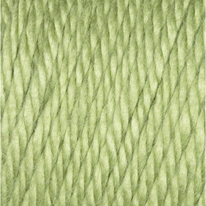 Caron Simply Soft Yarn Pistachio