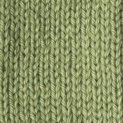 Caron Simply Soft Yarn Pistachio