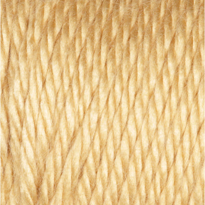 Caron Simply Soft Yarn Autumn Maize
