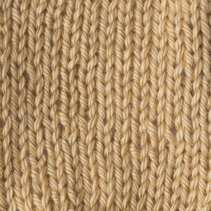 Caron Simply Soft Yarn Autumn Maize