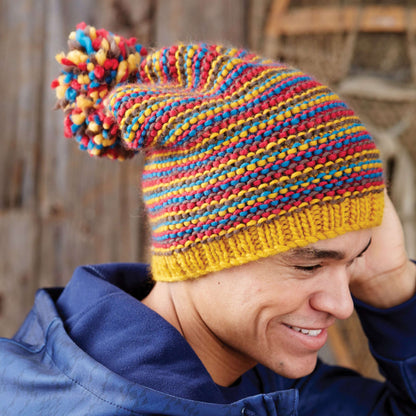 Patons Knit Change Your Stripes Hat Version 1