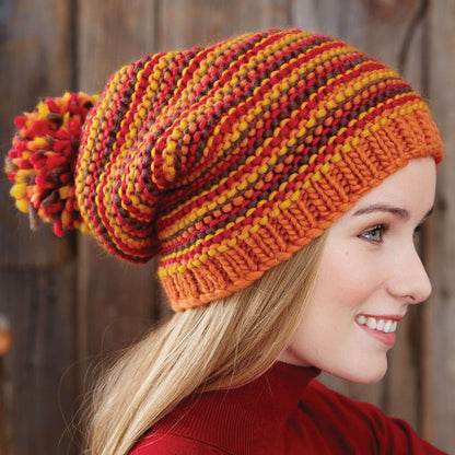 Patons Knit Change Your Stripes Hat Version 1
