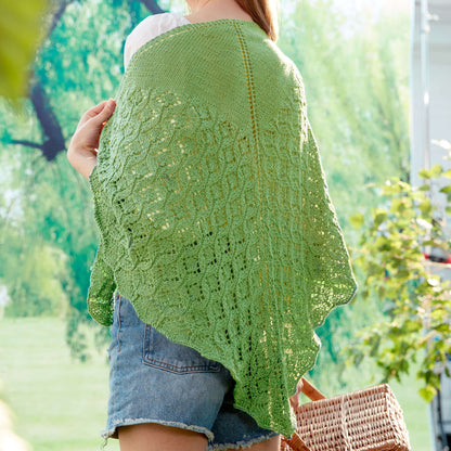 Patons Pastoral Lace Knit Shawl Single Size