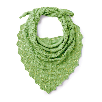 Patons Pastoral Lace Knit Shawl Single Size