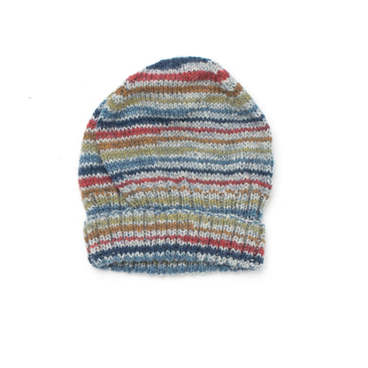 Patons Knit Basic Beanies Mens