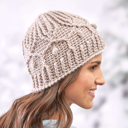 Red Heart Crochet Winter Trellis Hat Crochet Hat made in Red Heart Soft Yarn