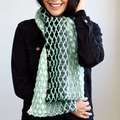 Red Heart A La Mode Chic Scarf Crochet Scarf made in Red Heart Chic Sheep Yarn