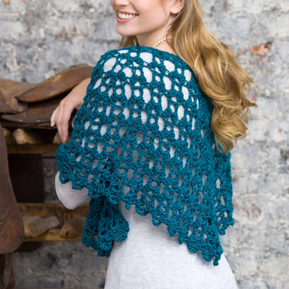 Red Heart Crochet Graceful Shell Shawl Crochet Shawl made in Red Heart Soft Yarn