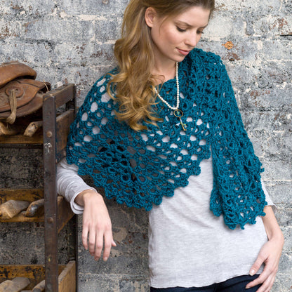 Red Heart Crochet Graceful Shell Shawl Crochet Shawl made in Red Heart Soft Yarn