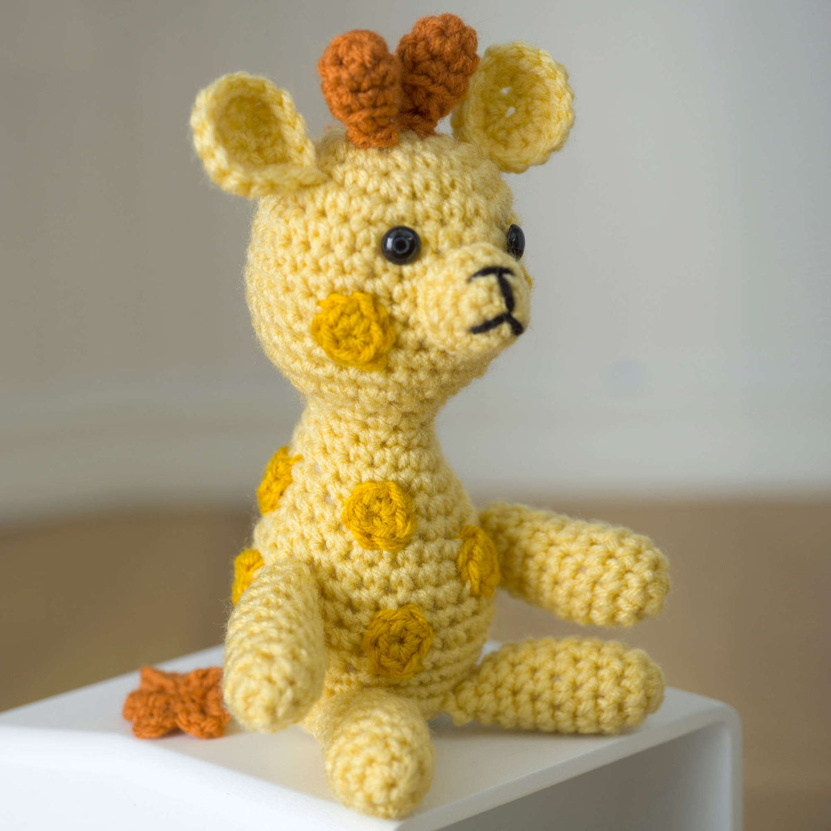 Crochet Toy made in Red Heart Super Saver Yarn