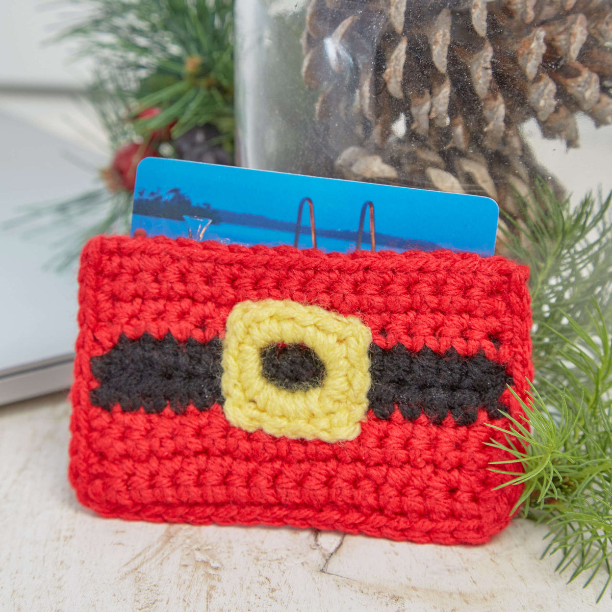 Crochet Holder made in Red Heart With Love Yarn