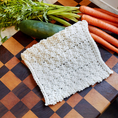 Red Heart Textured Blocks Dishcloth Crochet Dishcloth made in Red Heart Scrubby Smoothie Yarn