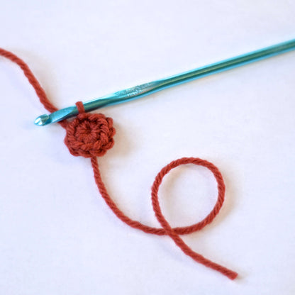 Red Heart Crochet Fall Leafy Banner Crochet Banner made in Red Heart Super Saver Yarn