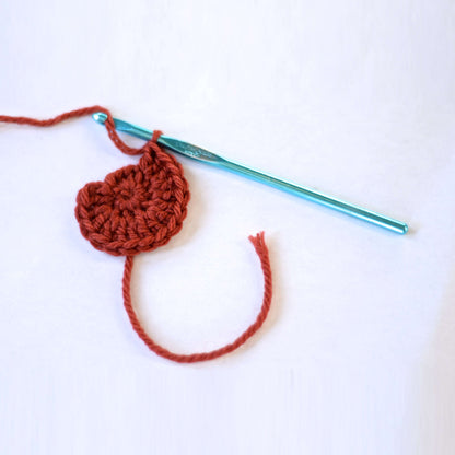 Red Heart Crochet Fall Leafy Banner Crochet Banner made in Red Heart Super Saver Yarn