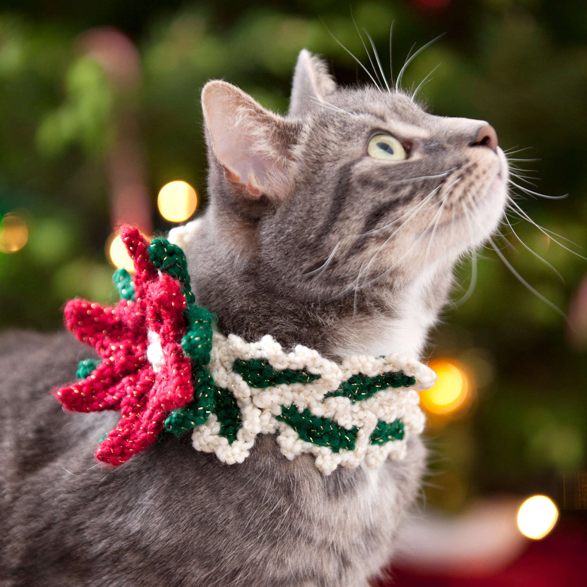 Crochet Pet Collar made in Red Heart Holiday Yarn
