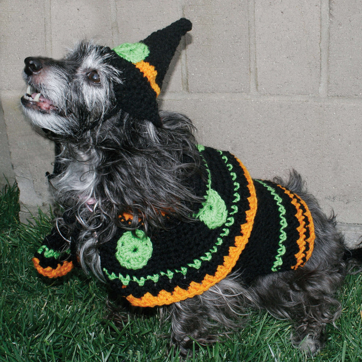 Crochet Costume made in Red Heart Super Saver Yarn