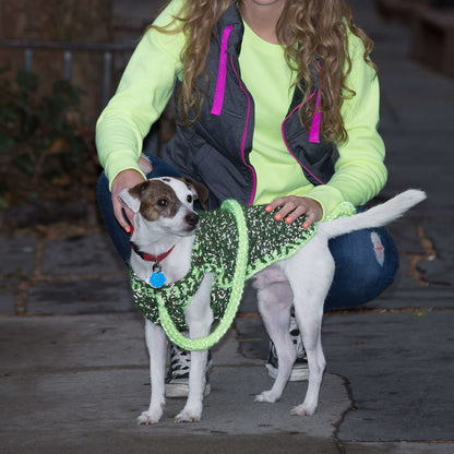 Red Heart Crochet Flashy Dog Sweater and Leash Crochet Leash made in Red Heart Reflective Yarn