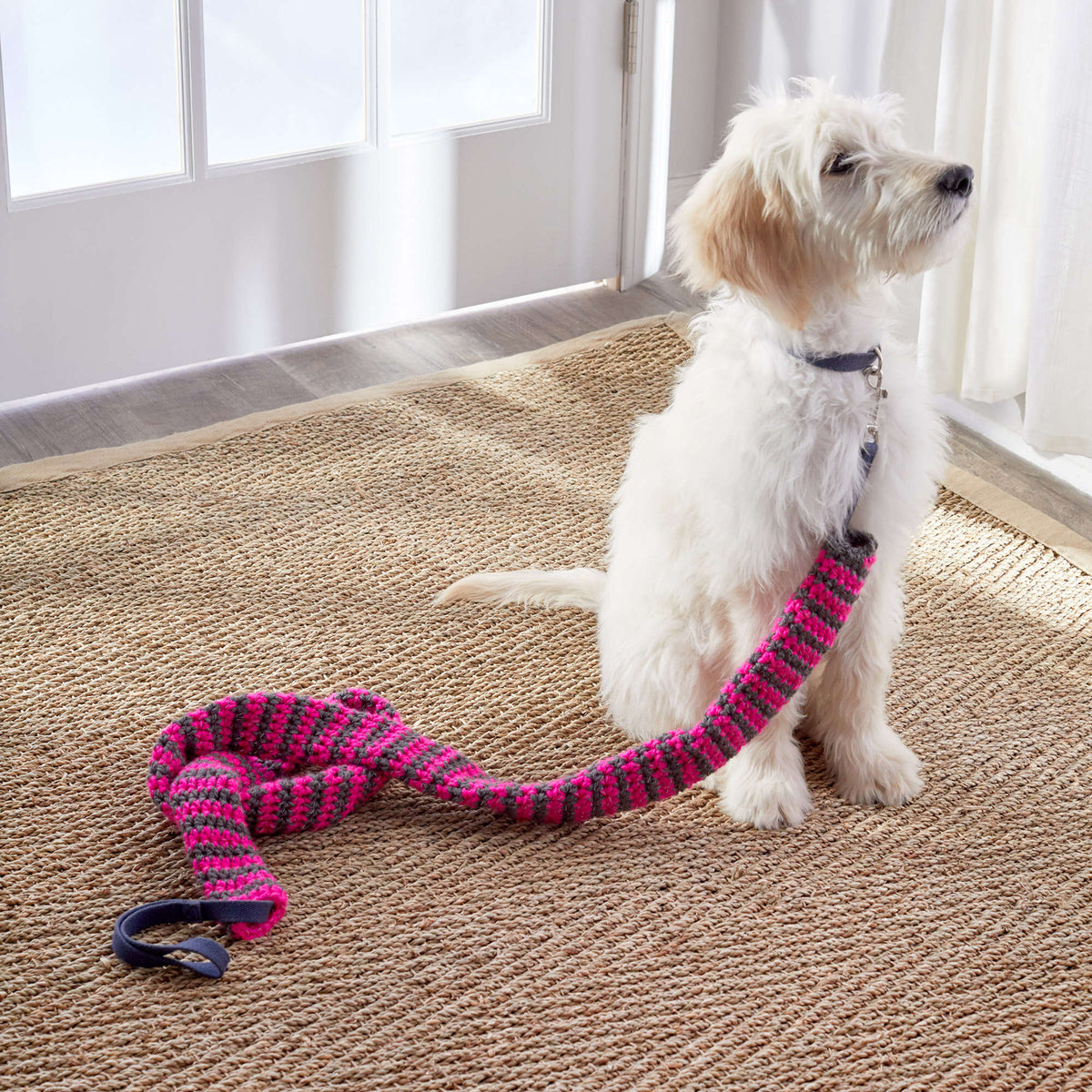 Crochet Dog Leash Cover made in Red Heart Reflective Yarn