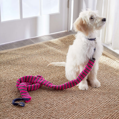 Red Heart Crochet Reflective Dog Leash Cover Crochet Dog Leash Cover made in Red Heart Reflective Yarn