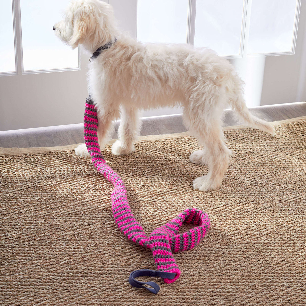 Crochet Dog Leash Cover made in Red Heart Reflective Yarn
