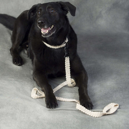 Red Heart Crochet Dog Leash & Collar Crochet Leash made in Red Heart Crochet Nylon yarn