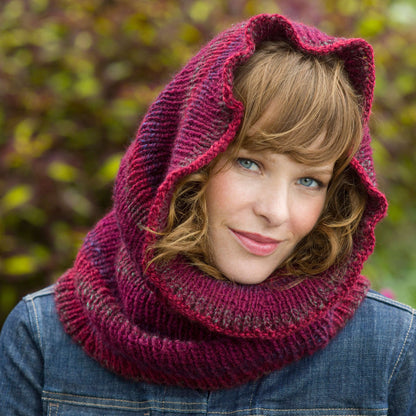 Red Heart Knit Cowl Hood Warmer Knit Warmer made in Red Heart Collage Yarn