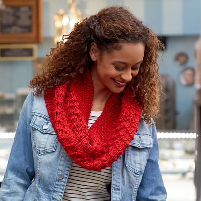 Red Heart Be True Knit Cowl Knit Cowl made in Red Heart With Love Metallic Yarn