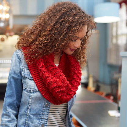 Red Heart Be True Knit Cowl Knit Cowl made in Red Heart With Love Metallic Yarn
