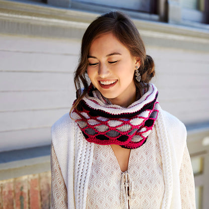 Red Heart Roulette Chic Cowl Knit Cowl made in Red Heart Chic Sheep Yarn