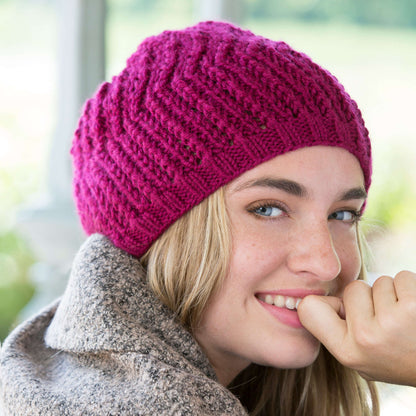 Red Heart Knit Any Day Beret Knit Beret made in Red Heart Soft Yarn