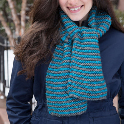 Red Heart Knit In Stripes Scarf Knit Scarf made in Red Heart Reflective Yarn