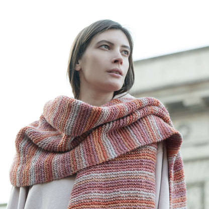 Red Heart Knit Palermo Scarf Knit Scarf made in Red Heart An Italian Story Ombra Yarn